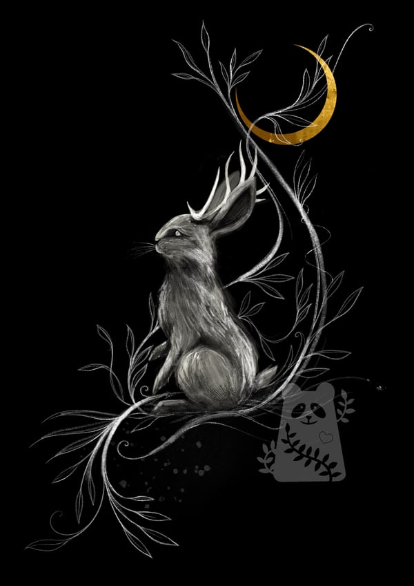 Image of Midnight Jackalope Limited Edition Luxury Print