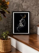 Image 2 of Midnight Jackalope Limited Edition Luxury Print