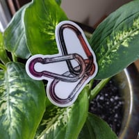 Image 3 of lesbian flag carabiners