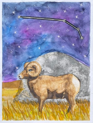 Image of Original Illustrations - Aries