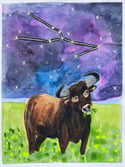 Original Illustrations - Taurus