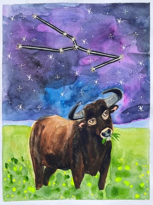 Image of Original Illustrations - Taurus