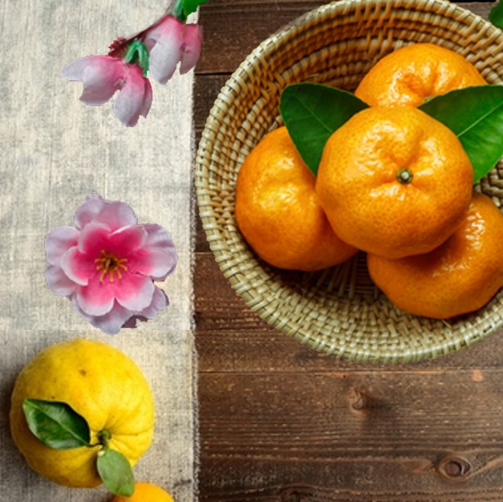Image of YUZU & SATSUMA