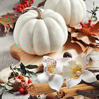 WHITE PUMPKIN AMBER