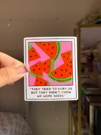 Watermelon Polaroid Gold Foil Sticker