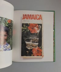 Image 3 of Roger Steffens - The Family Acid Jamaica *Signed*