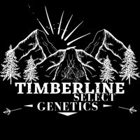 Image 2 of Timberline Select ~ Trainwreck 
