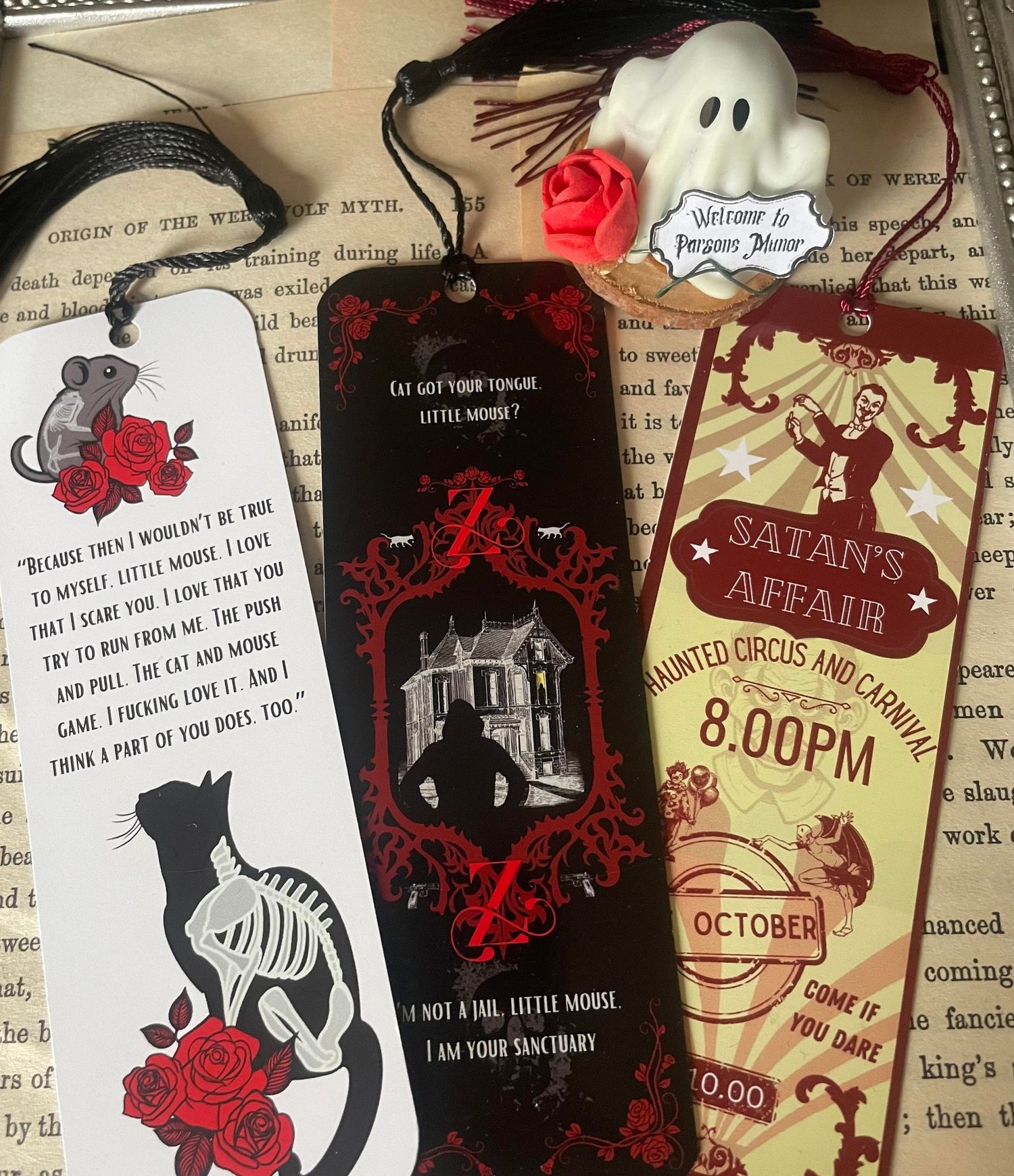 Image of  H D Carlton Officially licensed  Haunting & Hunting Adeline Bookish Box 