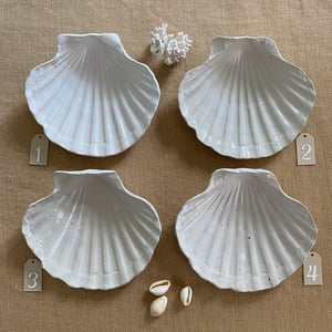 Image of LES COQUILLAGES