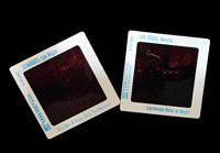 Image 4 of Vintage Aku Aku Castaways Las Vegas Pana-Vue Slides FREE SHIPPING 