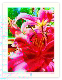 Image 1 of HOTTER THAN HOT(24X18) 