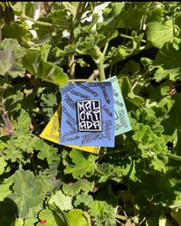MALCRIADA pin