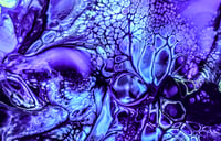 Image 4 of RefLectioN 8"
