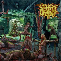 Perverse dependence-the patterns of depravity cd