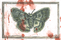 Image 2 of NEWWORLDDEPRESSION Moth Prints (8"x12") 