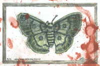 Image 3 of NEWWORLDDEPRESSION Moth Prints (8"x12") 