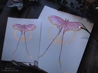 Image 5 of Pink Silk Moth Watercolor Print 8 by 10