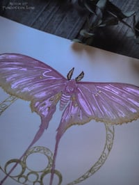 Image 3 of Pink Silk Moth Watercolor Print 8 by 10