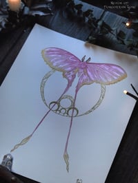 Image 1 of Pink Silk Moth Watercolor Print 8 by 10