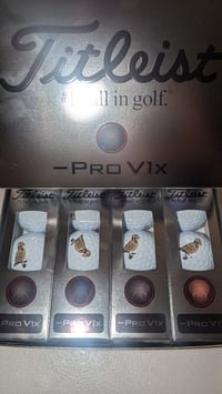 Image 2 of Titleist -ProV1 w/ Puffin Skeleton Logo
