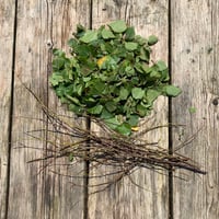 Image 4 of An introduction to foraged natural dyes. Sep 21st 2024