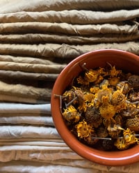 Image 5 of An introduction to foraged natural dyes. Sep 21st 2024