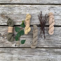 Image 2 of An introduction to foraged natural dyes. Sep 21st 2024