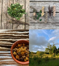 Image 1 of An introduction to foraged natural dyes. Sep 21st 2024