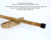 Image 10 of Wooden Cane Walking Stick made out of Exotic Wood of Bocote and Padauk with Oak, 37 inch Cane