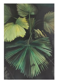 "A VELVET JUNGLE" A3 PRINT