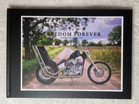 Image 1 of FREEDOM FOREVER VOL. 3