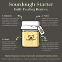 Sourdough Basic Kit