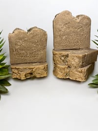 Rosemary Shampoo