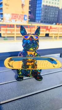 Image 1 of Spot, the French Bulldog