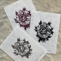 Image 3 of Anemone Linocut Print