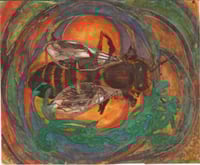 queen Bee