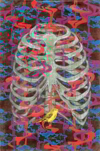 bird cage *original available*