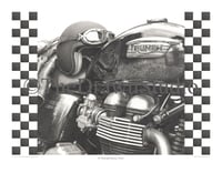 'A Triumph Every Time' Art Poster Print