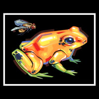 Frog & Fly - Signed 11"x14" Prints, Edition of 100