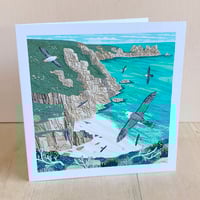 Percella Cove Fulmars Greeting Card
