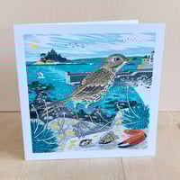 Marazion Rock Pipit Greeting Card