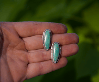 Image 3 of Sonoran Gold turquoise statement studs