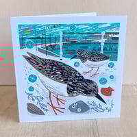 Mousehole Harbour Turnstones Christmas Card