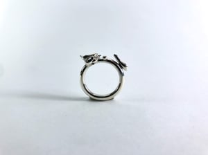 ring M