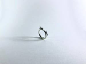 ring M
