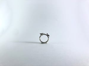 ring M