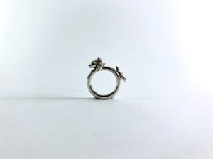 ring S