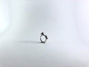 ring S