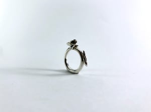 ring S