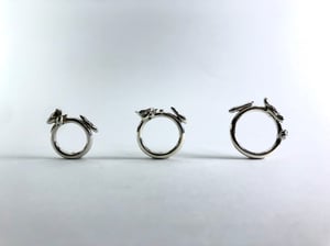 ring S